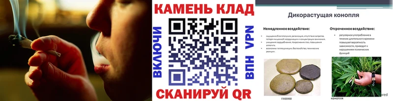 где продают   Борзя  ГАШ hashish 