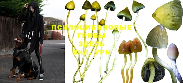 mdpv Билибино
