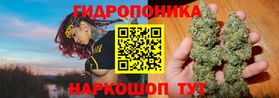 каннабис Будённовск