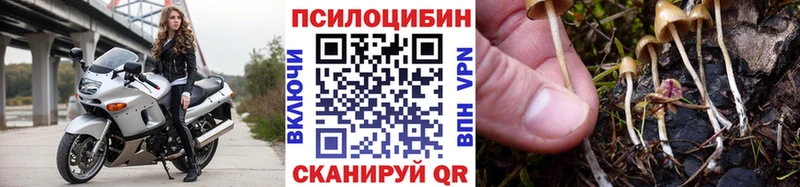 нарко площадка телеграм  blacksprut сайт  Борзя  Галлюциногенные грибы Magic Shrooms 