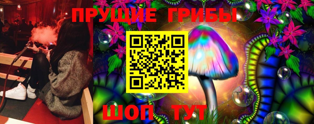 Галлюциногенные грибы Psilocybe  Галлюциногенные грибы Psilocybine cubensis  Борзя 