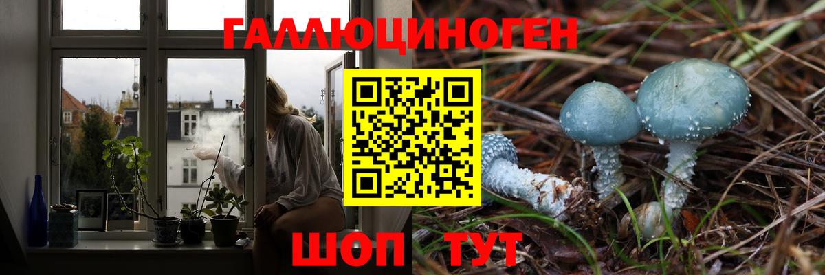где можно купить наркотик  Вход с VPN  Борзя  Галлюциногенные грибы ЛСД 